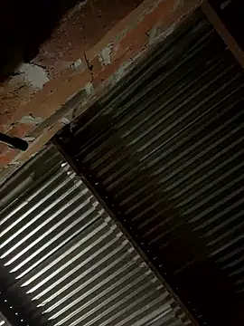 lady and charly online show from 01-19-26, 12:09