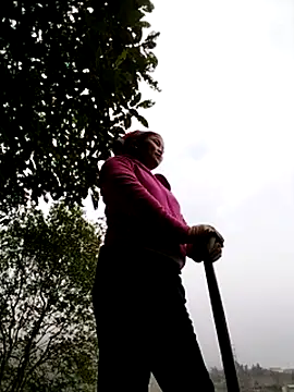 sumaybae online show from 12-05-25, 08:23