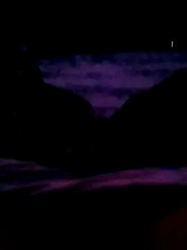 Snapshot of veintitres23 chatting on 11-11-25, 07:52 veintitres23 online show from 11-11-25, 07:52