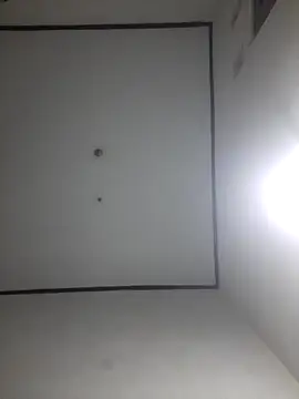 wibunewbie online show from 12-18-25, 03:51