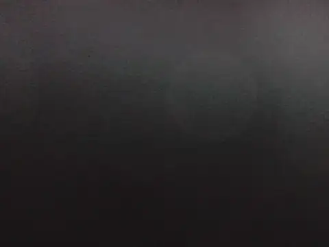 puppy2s online show from 10-16-25, 03:07