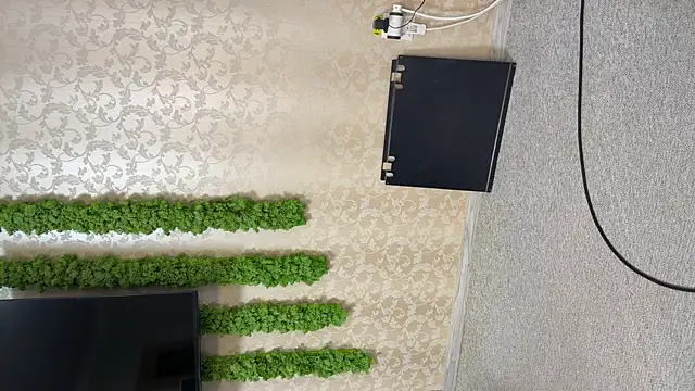 OliviaCart online show from 04-10-26, 02:11