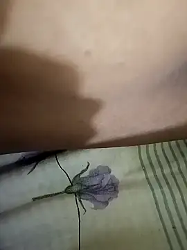 Snapshot of kajal_jadhav chatting on 10-29-25, 08:54 kajal jadhav online show from 10-29-25, 08:54