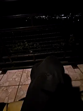 SamoSkupo online show from 10-29-25, 08:10