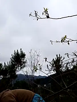 siusiu-00 online show from 11-19-25, 12:54