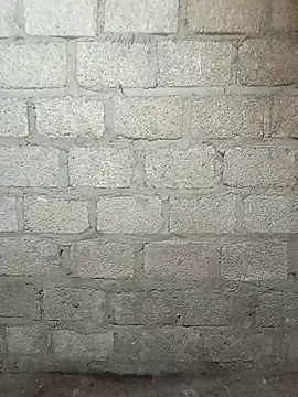 siusiu-00 online show from 03-11-26, 11:49