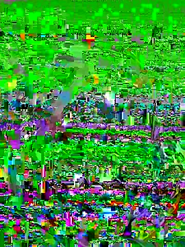 FaixaRosa11 online show from 10-21-25, 11:16