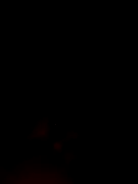 ShavenScope24 online show from 12-01-25, 05:40