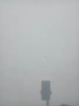 strip queennn online show from 11-10-25, 05:45