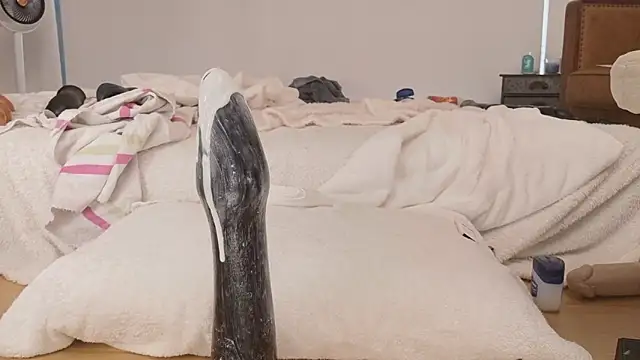 gape party online show from 05-12-26, 10:51