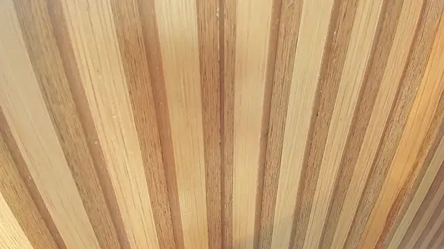 mia  blaze   online show from 12-22-25, 03:03