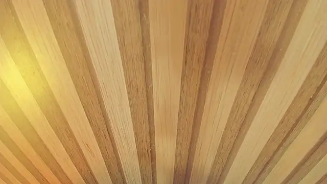 mia  blaze   online show from 01-13-26, 03:01