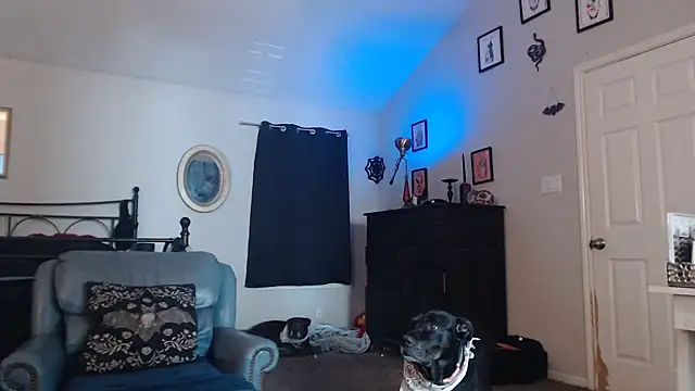 ImKatMeow online show from 02-09-26, 05:17