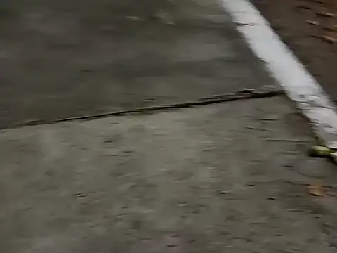 roludao fun online show from 12-04-25, 10:07