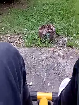 roludao fun online show from 02-20-26, 09:15