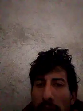 Orlao25cm online show from 02-06-26, 08:01