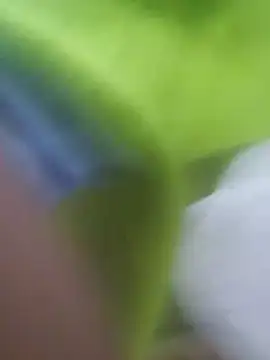 Orlao25cm online show from 02-24-26, 03:04