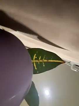 Snapshot of Amelia-Diamond chatting on 11-28-25, 08:22 Amelia-Diamond online show from 11-28-25, 08:22