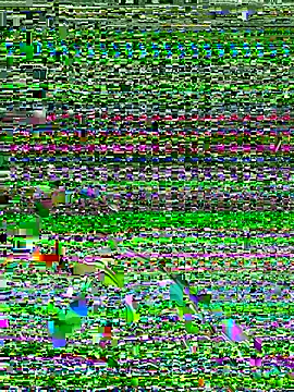 Dev2k22 online show from 12-17-25, 06:14