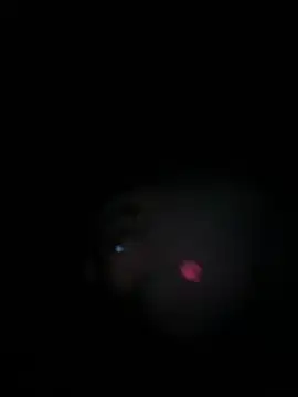 Paapii1098 online show from 03-15-26, 08:04