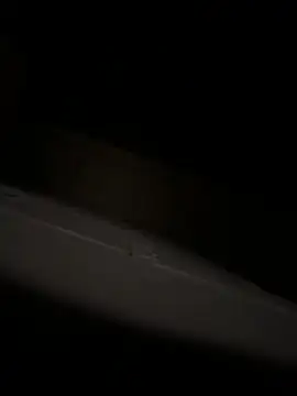 bart98geil online show from 04-06-26, 03:15