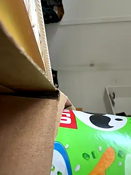 cheems232 online show from 11-26-25, 07:48