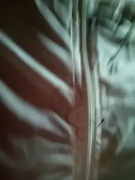 sowbibi online show from 02-28-26, 05:41