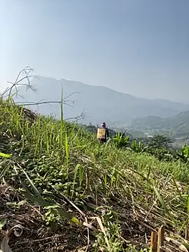 Irin jo online show from 11-23-25, 06:46