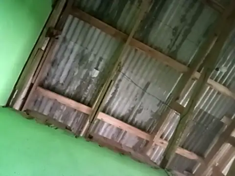 juniordotado87 online show from 01-10-26, 11:45