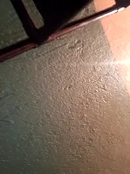 Snapshot of Elvergon22546 chatting on 11-17-25, 05:08 Elvergon22546 online show from 11-17-25, 05:08