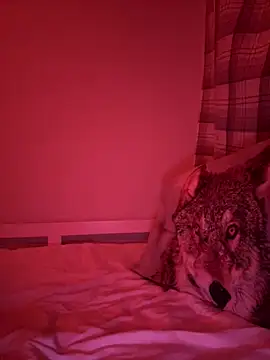 Janekat online show from 02-06-26, 03:33