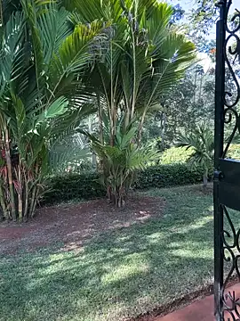 BubblesLovexox online show from 04-04-26, 12:57