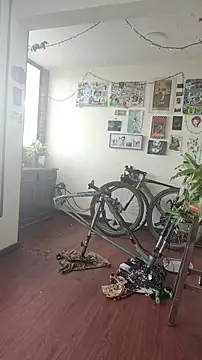 Neciaa online show from 04-08-26, 09:15