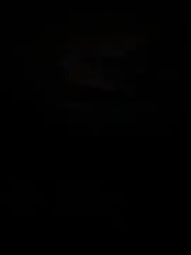 wloczykij1 online show from 11-12-25, 10:20