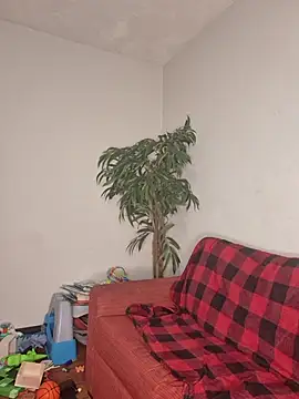 SweetieP11 online show from 11-03-25, 05:03