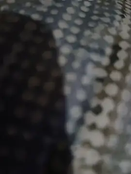 Piope1984 online show from 10-28-25, 09:17