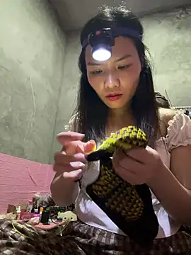 Snapshot of Yunzang chatting on 02-28-26, 01:01 Yunzang online show from 02-28-26, 01:01