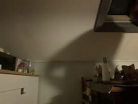 davi73d online show from 12-14-25, 03:01