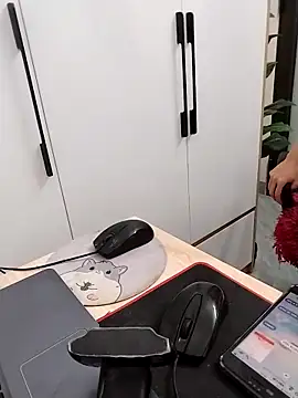 Tammy meri online show from 03-17-26, 11:08