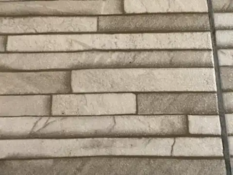  DignoDePutaria  online show from 01-16-26, 02:43