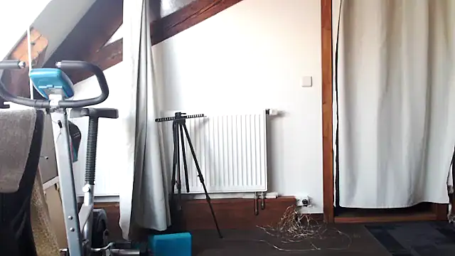 MissDyannis online show from 03-23-26, 11:14