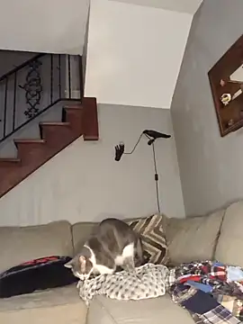 mattiethebaddieee online show from 03-21-26, 02:38