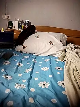 BD 228 online show from 03-10-26, 11:43