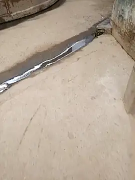 Snapshot of Pandey0012 chatting on 10-28-25, 02:26 Pandey0012 online show from 10-28-25, 02:26