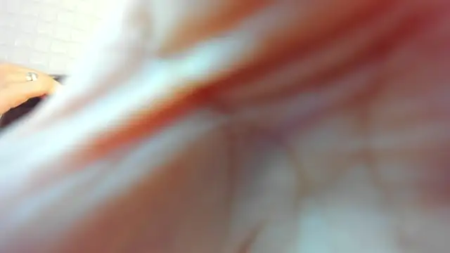 victoria 243 online show from 02-23-26, 03:59