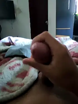 secretnovin7 online show from 04-12-26, 08:03