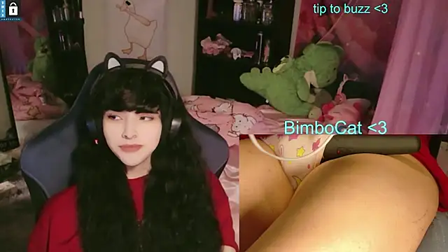 BimboCat online show from 06-13-26, 08:07