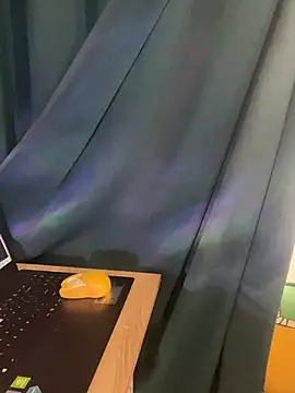 trinhvutrinh online show from 04-12-26, 04:17