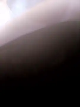 pino870 online show from 01-14-26, 09:52