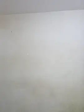 negramenta online show from 01-15-26, 11:48